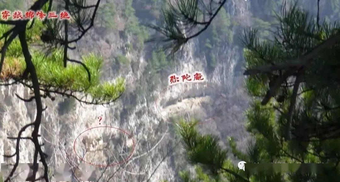 动物帮帮忙保卫家园